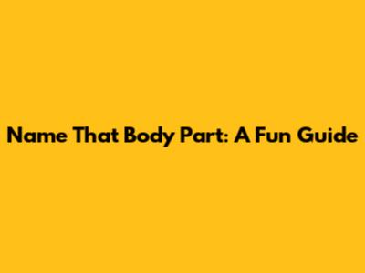 Name That Body Part: A Fun Guide