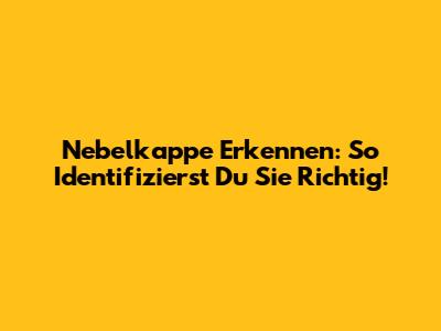 Nebelkappe Erkennen: So Identifizierst Du Sie Richtig!