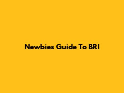Newbie's Guide To BRI