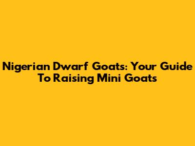 Nigerian Dwarf Goats: Your Guide To Raising Mini Goats