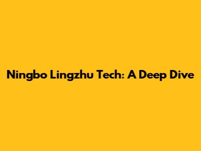 Ningbo Lingzhu Tech: A Deep Dive