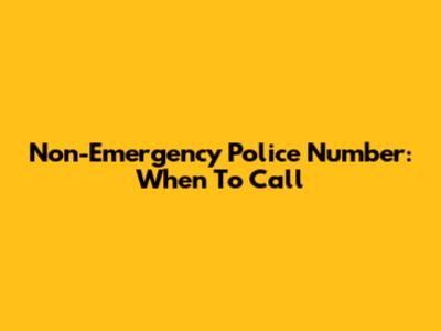 Non-Emergency Police Number: When To Call