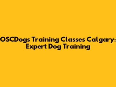 OSCDogs Training Classes Calgary: Expert Dog Training