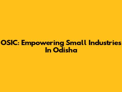 OSIC: Empowering Small Industries In Odisha