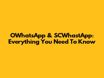 OWhatsApp & SCWhastApp: Everything You Need To Know
