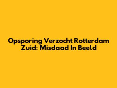 Opsporing Verzocht Rotterdam Zuid: Misdaad In Beeld