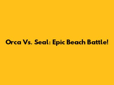 Orca Vs. Seal: Epic Beach Battle!