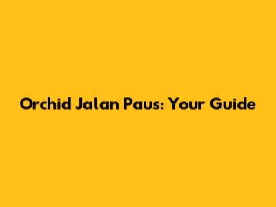 Orchid Jalan Paus: Your Guide