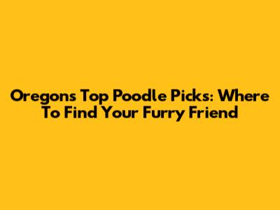 Oregon's Top Poodle Picks: Where To Find Your Furry Friend