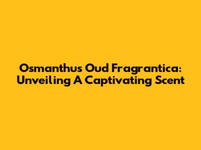 Osmanthus Oud Fragrantica: Unveiling A Captivating Scent