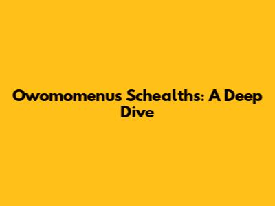 Owomomenu's Schealth's: A Deep Dive
