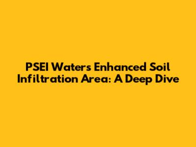 PSEI Water's Enhanced Soil Infiltration Area: A Deep Dive