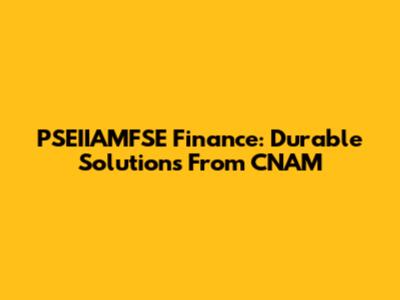 PSEIIAMFSE Finance: Durable Solutions From CNAM