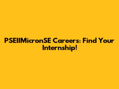 PSEIIMicronSE Careers: Find Your Internship!