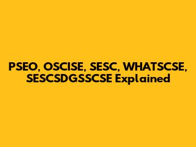 PSEO, OSCISE, SESC, WHATSCSE, SESCSDGSSCSE Explained