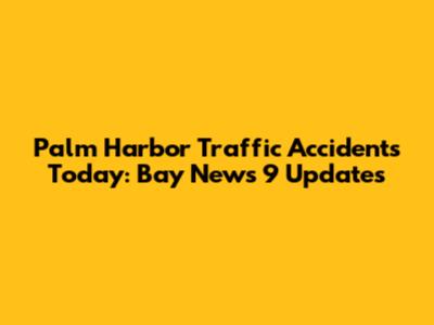 Palm Harbor Traffic Accidents Today: Bay News 9 Updates