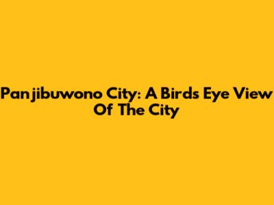 Panjibuwono City: A Bird's Eye View Of The City
