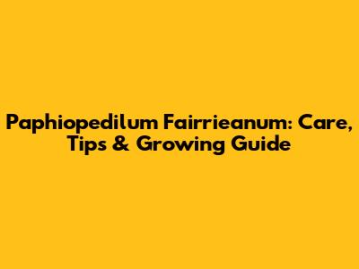 Paphiopedilum Fairrieanum: Care, Tips & Growing Guide