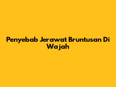 Penyebab Jerawat Bruntusan Di Wajah