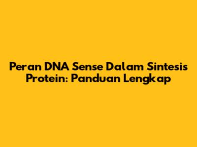Peran DNA Sense Dalam Sintesis Protein: Panduan Lengkap