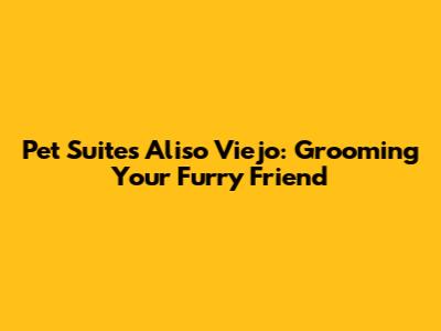 Pet Suites Aliso Viejo: Grooming Your Furry Friend