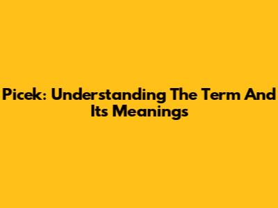 Picek: Understanding The Term And Its Meanings