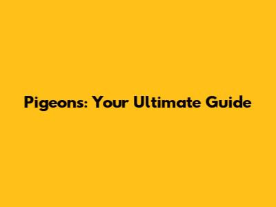 Pigeons: Your Ultimate Guide