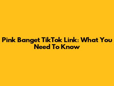 Pink Banget TikTok Link: What You Need To Know