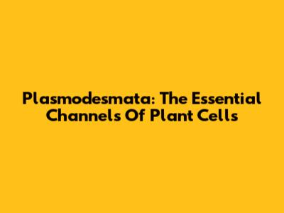 Plasmodesmata: The Essential Channels Of Plant Cells