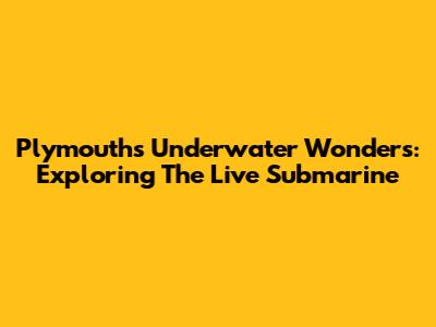 Plymouth's Underwater Wonders: Exploring The Live Submarine