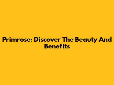 Primrose: Discover The Beauty And Benefits