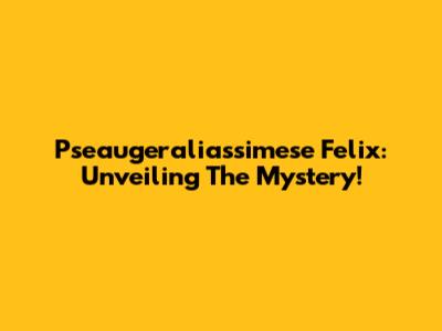 Pseaugeraliassimese Felix: Unveiling The Mystery!