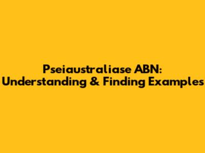 Pseiaustraliase ABN: Understanding & Finding Examples