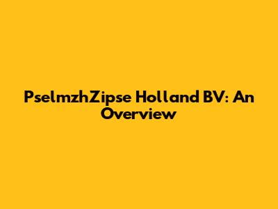 PselmzhZipse Holland BV: An Overview