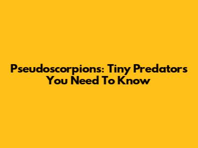 Pseudoscorpions: Tiny Predators You Need To Know