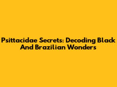 Psittacidae Secrets: Decoding Black And Brazilian Wonders