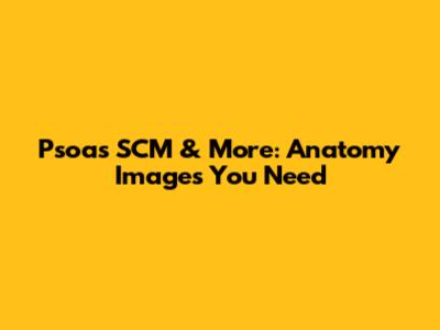 Psoas SCM & More: Anatomy Images You Need
