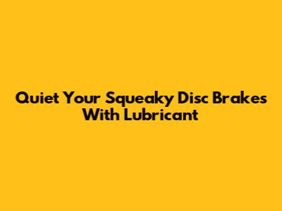 Quiet Your Squeaky Disc Brakes With Lubricant