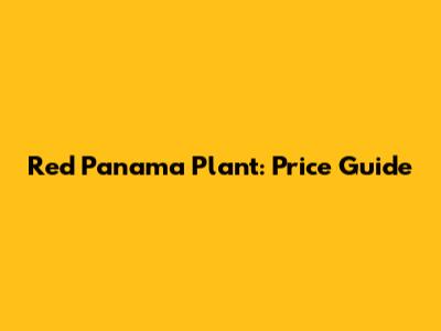 Red Panama Plant: Price Guide