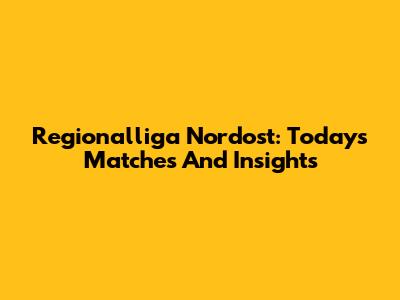 Regionalliga Nordost: Today's Matches And Insights