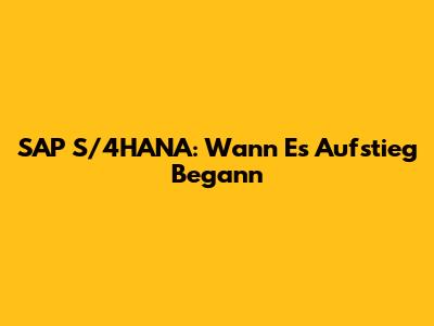SAP S/4HANA: Wann Es Aufstieg Begann