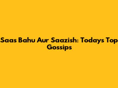 Saas Bahu Aur Saazish: Today's Top Gossips