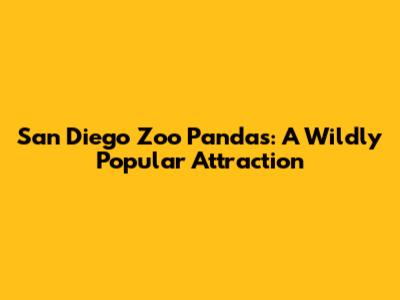 San Diego Zoo Pandas: A Wildly Popular Attraction