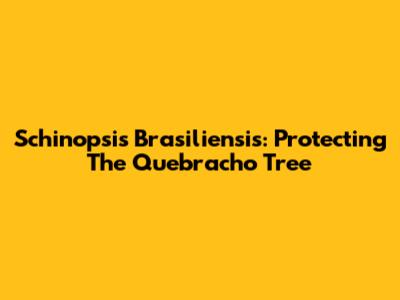 Schinopsis Brasiliensis: Protecting The Quebracho Tree