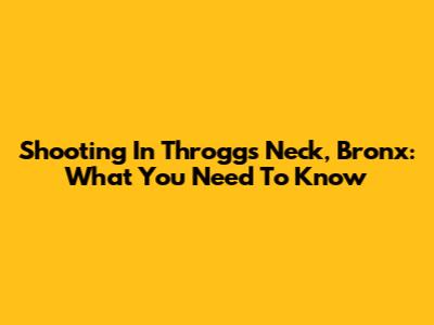 Shooting In Throggs Neck, Bronx: What You Need To Know