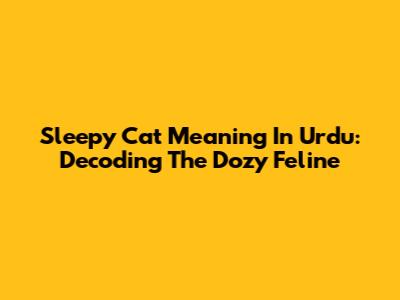 Sleepy Cat Meaning In Urdu: Decoding The Dozy Feline