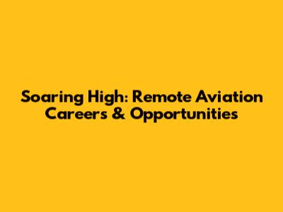Soaring High: Remote Aviation Careers & Opportunities