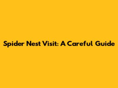 Spider Nest Visit: A Careful Guide