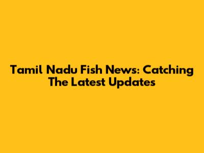 Tamil Nadu Fish News: Catching The Latest Updates