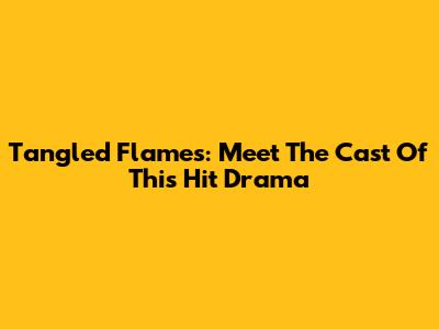 Tangled Flames: Meet The Cast Of This Hit Drama
